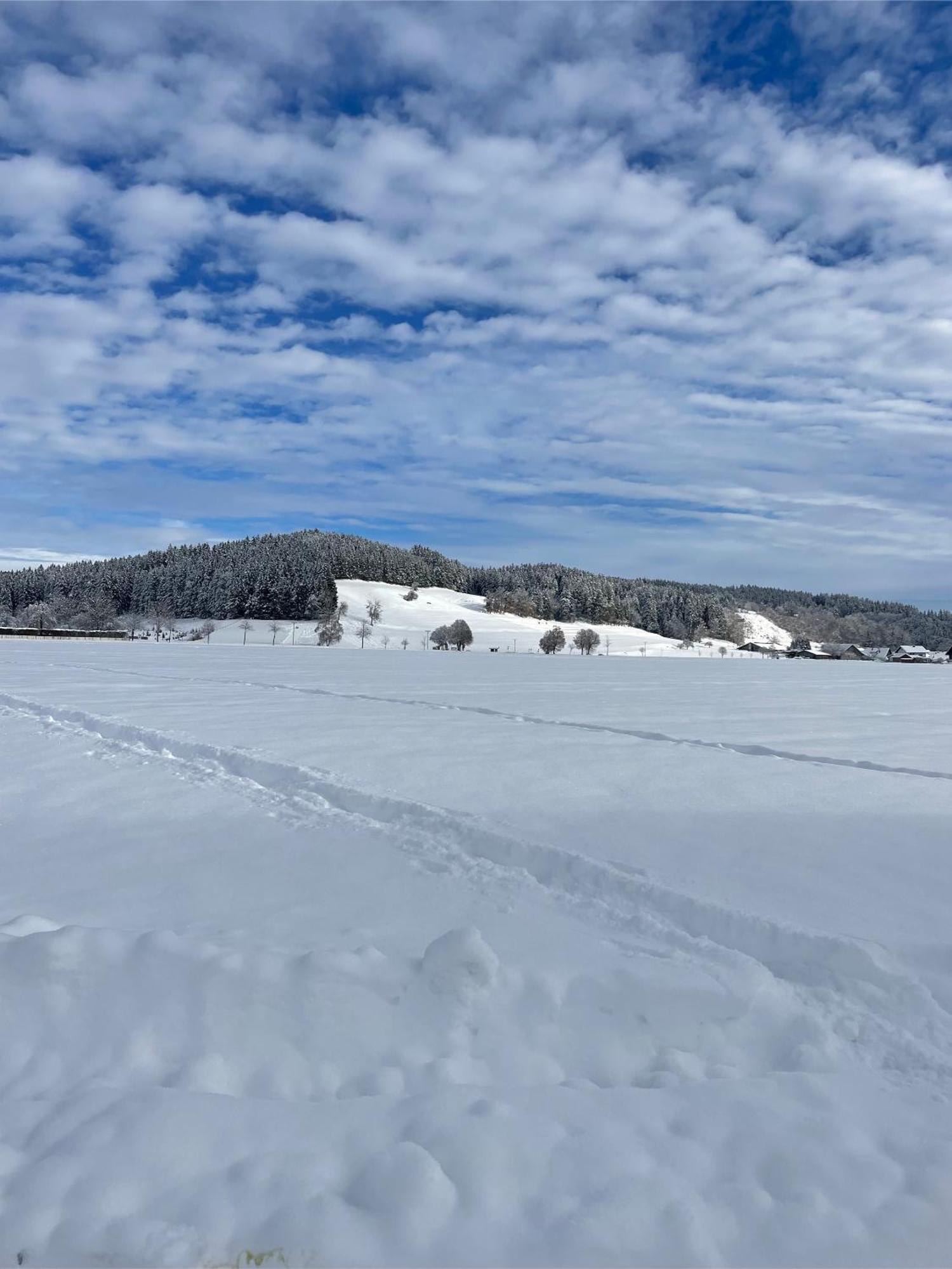 Leutkirch im AllgäuSalty Sol公寓 外观 照片